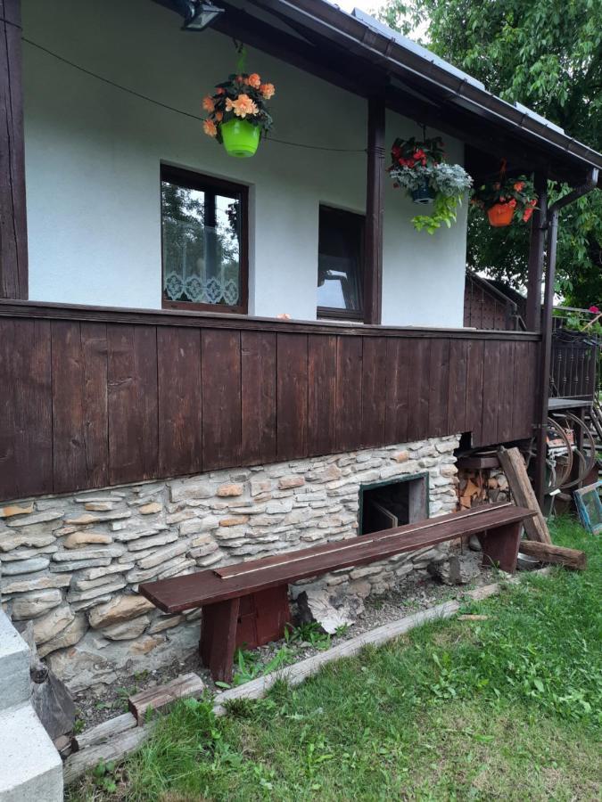 Casa Bunicilor Villa Ciprian Porumbescu Dış mekan fotoğraf