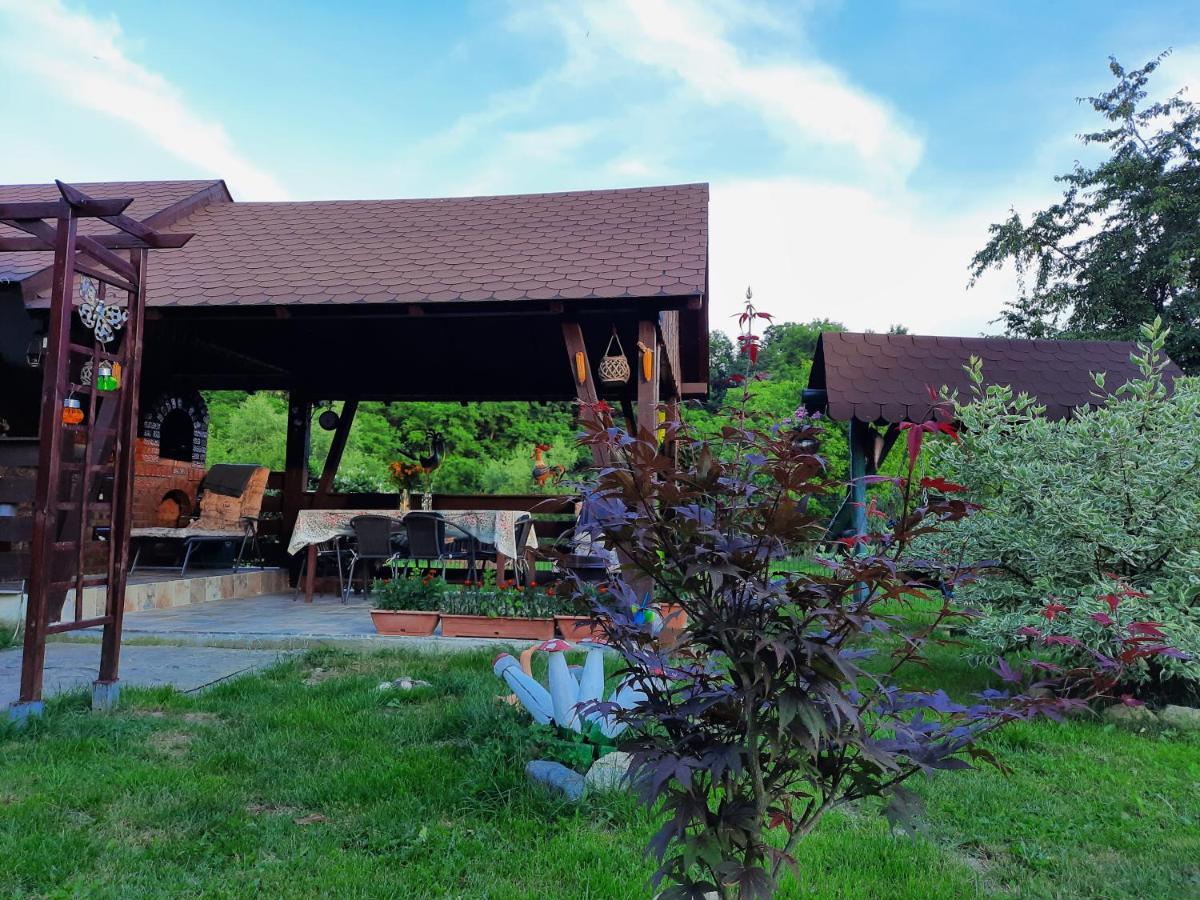 Casa Bunicilor Villa Ciprian Porumbescu Dış mekan fotoğraf