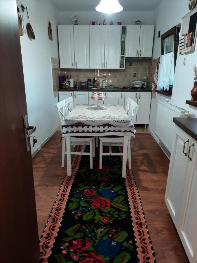 Casa Bunicilor Villa Ciprian Porumbescu Dış mekan fotoğraf