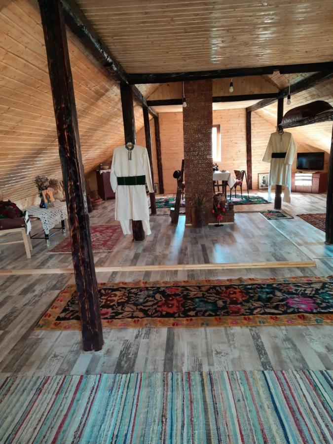 Casa Bunicilor Villa Ciprian Porumbescu Dış mekan fotoğraf