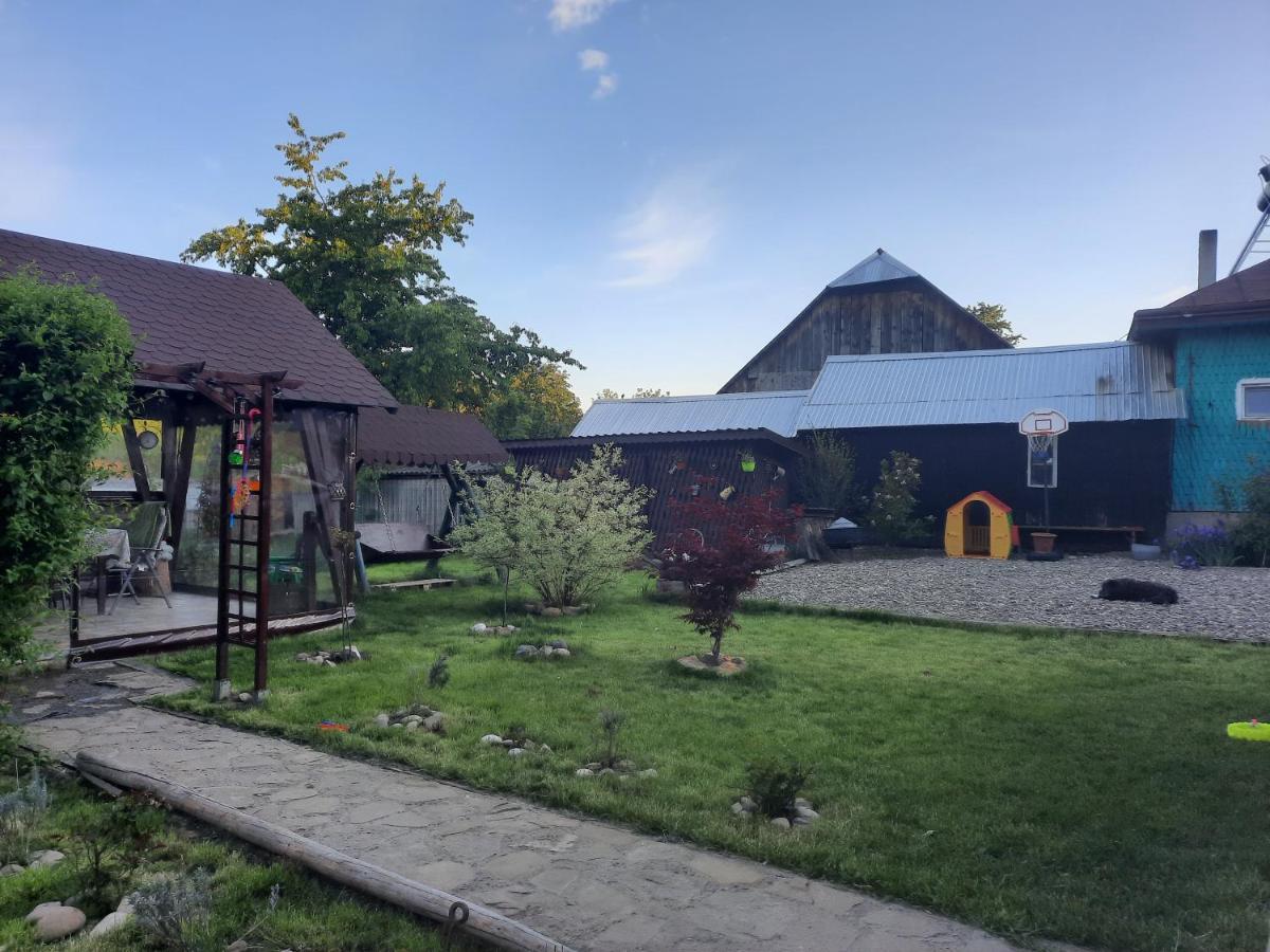 Casa Bunicilor Villa Ciprian Porumbescu Dış mekan fotoğraf