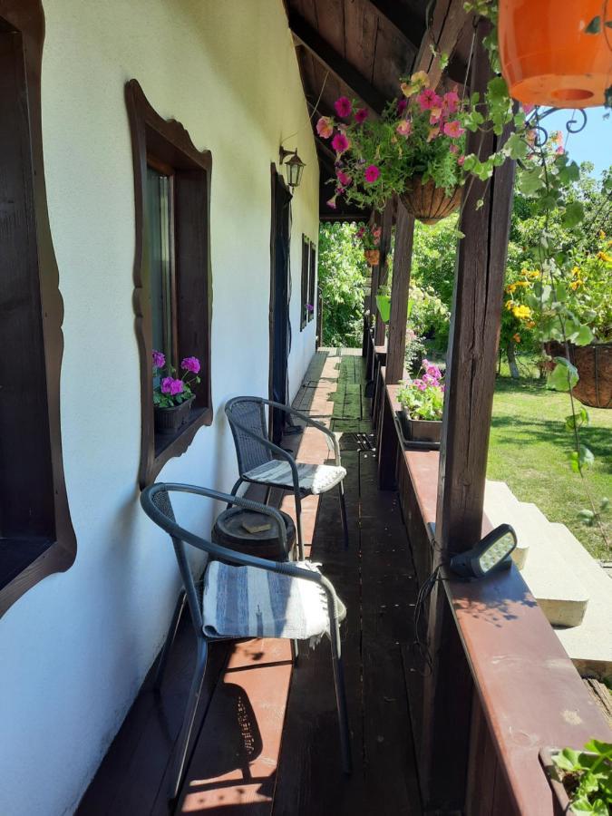 Casa Bunicilor Villa Ciprian Porumbescu Dış mekan fotoğraf