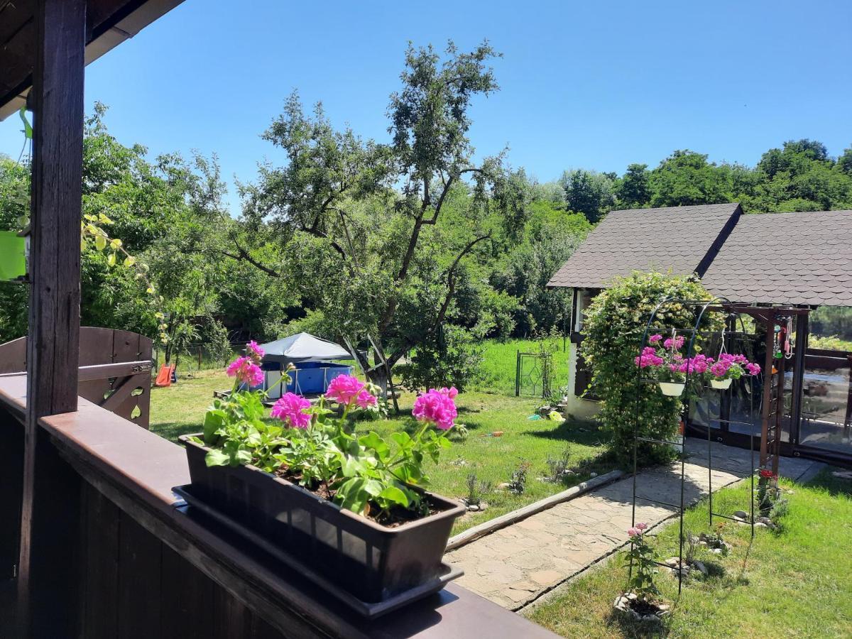 Casa Bunicilor Villa Ciprian Porumbescu Dış mekan fotoğraf