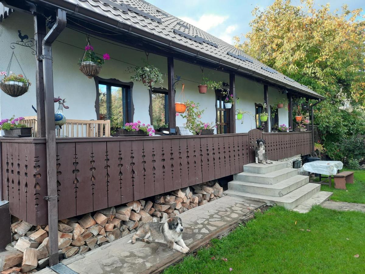 Casa Bunicilor Villa Ciprian Porumbescu Dış mekan fotoğraf