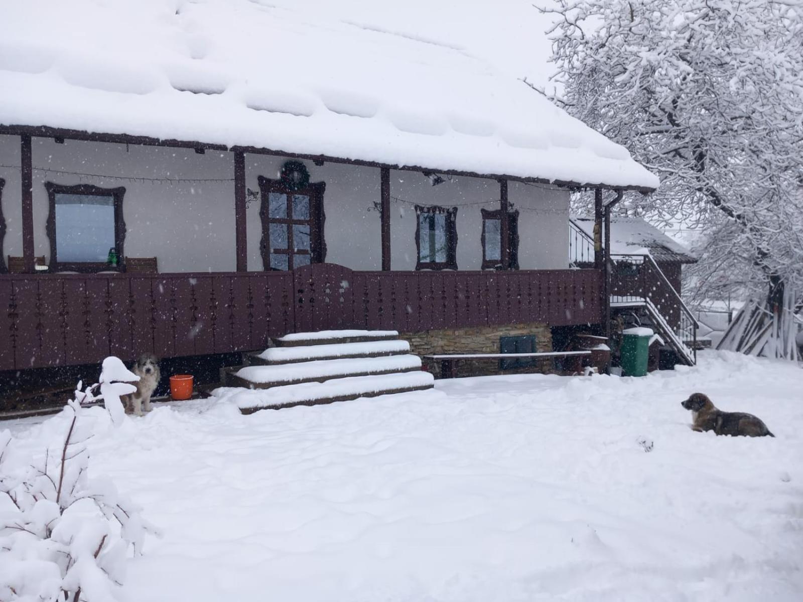 Casa Bunicilor Villa Ciprian Porumbescu Dış mekan fotoğraf