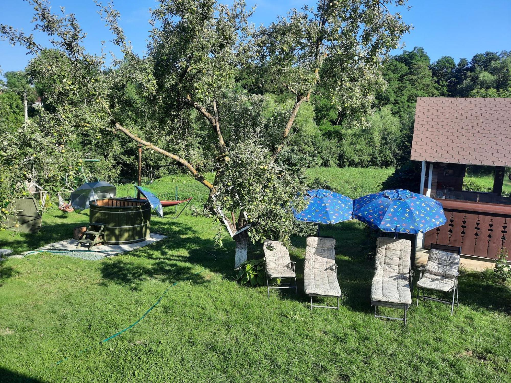 Casa Bunicilor Villa Ciprian Porumbescu Dış mekan fotoğraf