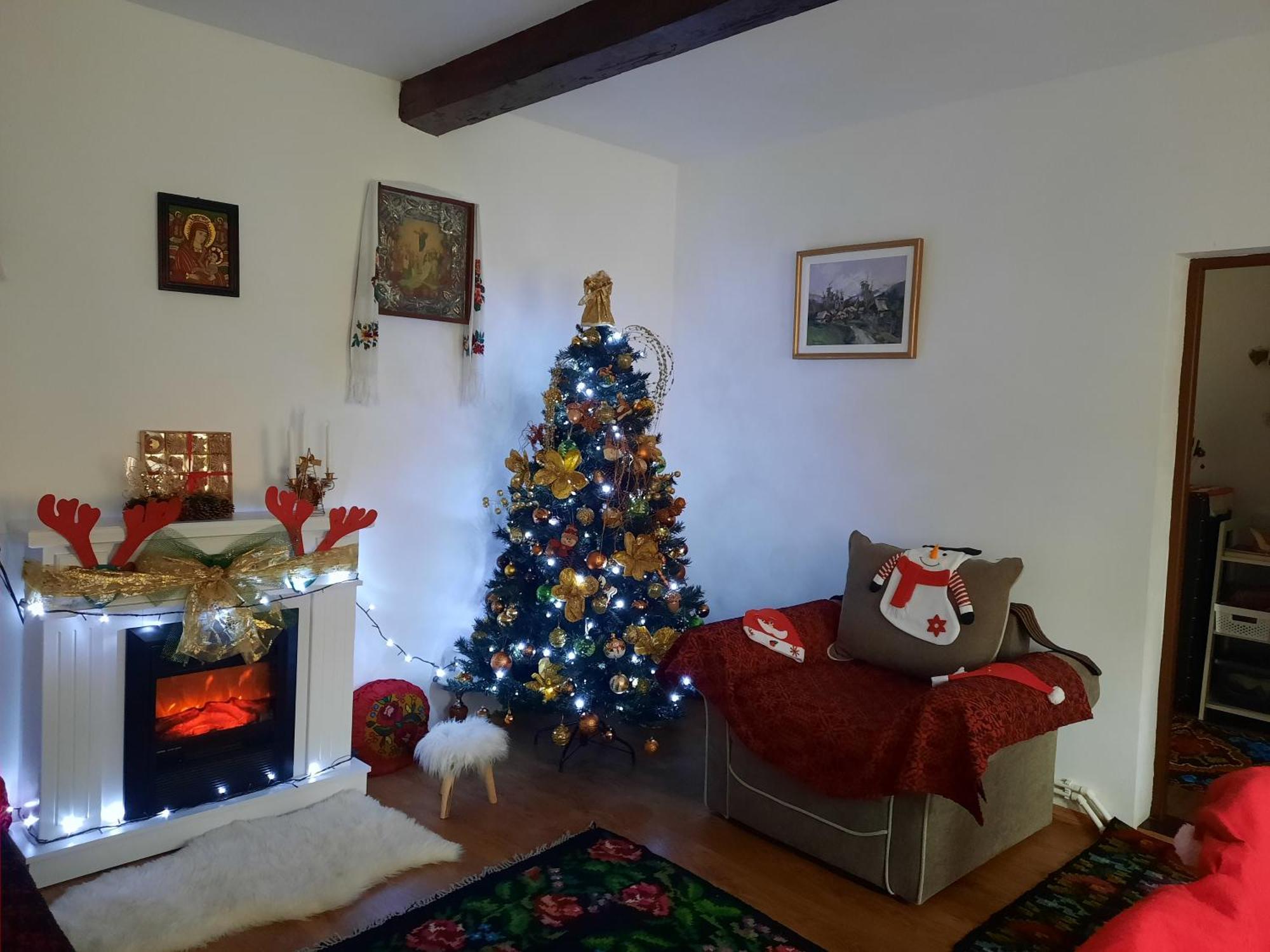 Casa Bunicilor Villa Ciprian Porumbescu Dış mekan fotoğraf